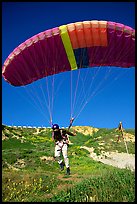 Paraglider launching, the Dumps, Pacifica. San Mateo County, California, USA