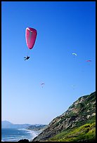 Paragliding above a sea cliff, the Dumps, Pacifica. San Mateo County, California, USA (color)