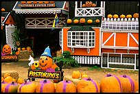 Pastorino pumpkin farm. Half Moon Bay, California, USA