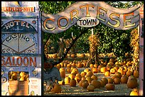 Pumpkin patch. San Jose, California, USA ( color)