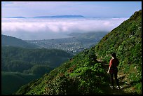 Hiker on Montara Mountain. San Mateo County, California, USA