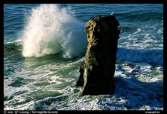 Wave and seastack morning. Santa Cruz, California, USA