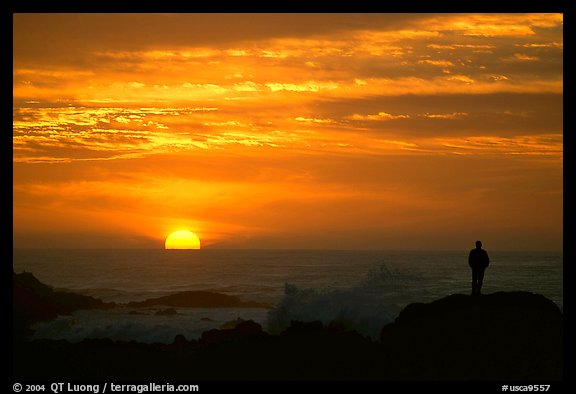 Man watching sunset over ocean. Pacific Grove, California, USA
