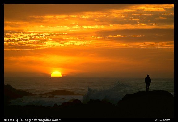 Man watching sunset over ocean. Pacific Grove, California, USA (color)