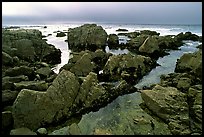 Pool, rocks, foggy sunset, seventeen-mile drive. Pebble Beach, California, USA ( color)