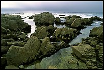 Pool, rocks, foggy sunset, seventeen-mile drive. Pebble Beach, California, USA