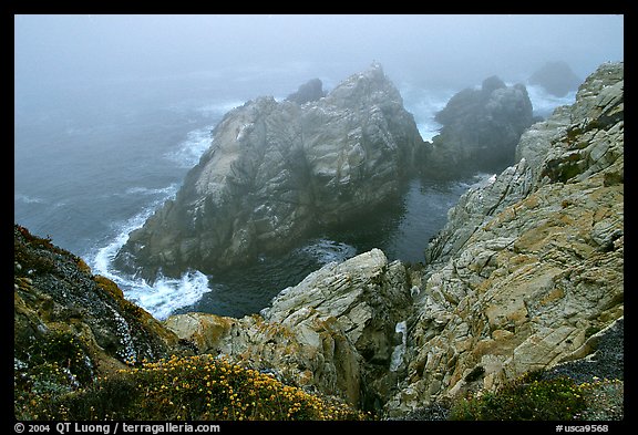 Pinnacle Cove with fog. Point Lobos State Preserve, California, USA (color)