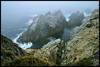 Pinnacle Cove with fog. Point Lobos State Preserve, California, USA