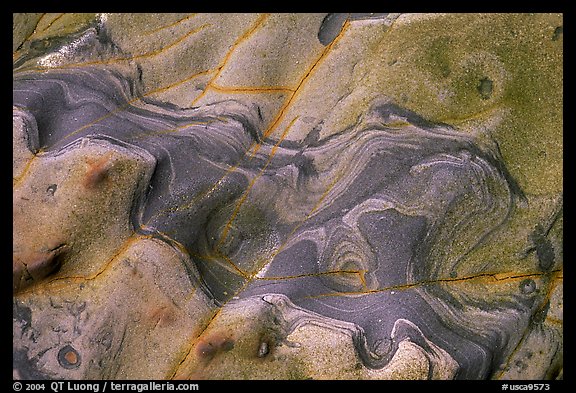 Carmelo Formation incrustations,  Weston Beach. Point Lobos State Preserve, California, USA (color)
