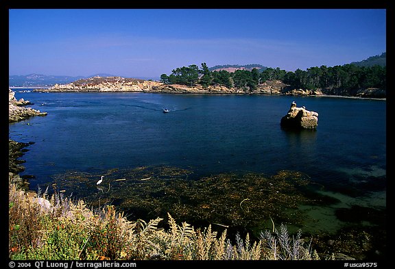 Whalers cove. Point Lobos State Preserve, California, USA