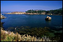 Whalers cove. Point Lobos State Preserve, California, USA ( color)