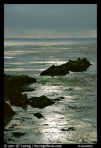 Rocks and sun reflections. Big Sur, California, USA (color)