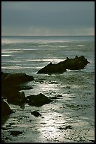Rocks and sun reflections. Big Sur, California, USA