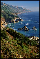 Costline from Partington Point, Julia Pfeiffer Burns State Park, late afternoon. Big Sur, California, USA (color)