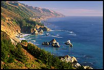 Costline from Partington Point, Julia Pfeiffer Burns State Park, late afternoon. Big Sur, California, USA