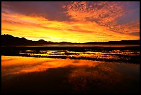 Sunrise near Morro Bay. Morro Bay, USA (color)