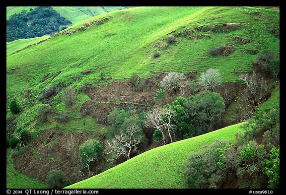 Rolling Hills in spring near San Luis Obispo. Morro Bay, USA (color)