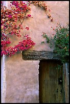 Flowers and wall, Carmel Mission. Carmel-by-the-Sea, California, USA (color)