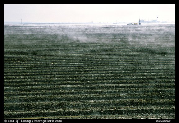 Mist and plowed field, San Joaquin Valley. California, USA (color)