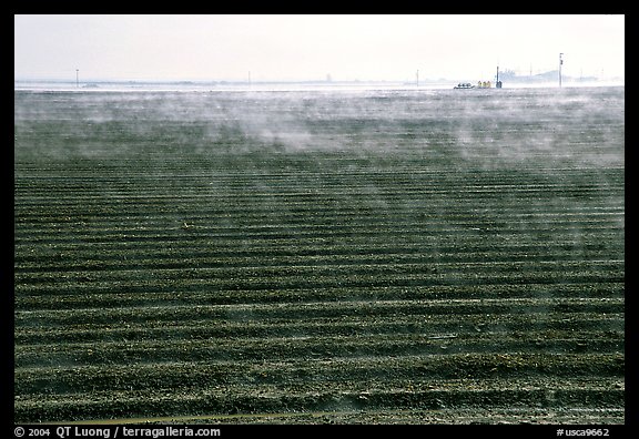 Mist and plowed field, San Joaquin Valley. California, USA