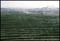 Mist and plowed field, San Joaquin Valley. California, USA (color)