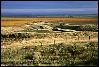 Central Valley farmlands. California, USA ( color)