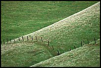 Fence on hill, Southern Sierra Foothills. California, USA