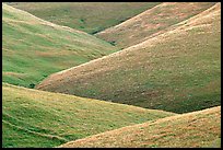 Ridges, Southern Sierra Foothills. California, USA (color)