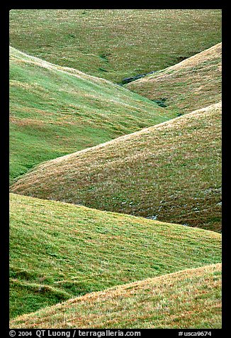 Ridges, Southern Sierra Foothills. California, USA (color)