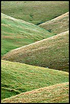 Ridges, Southern Sierra Foothills. California, USA