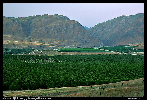 Irigated farmlands, Southern Sierra Foothills. California, USA (color)