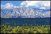 Palm Trees and mountains. Anza Borrego Desert State Park, California, USA (color)