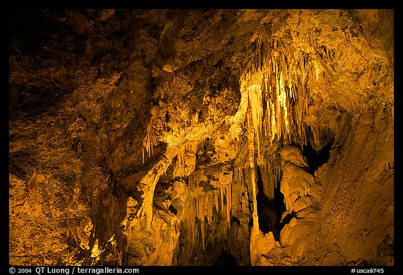 Delicate cave formations, Mitchell caverns. Mojave National Preserve, California, USA