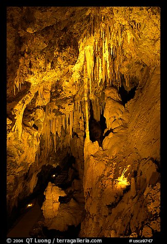 Delicate cave formations, Mitchell caverns. Mojave National Preserve, California, USA (color)