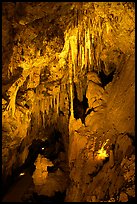 Delicate cave formations, Mitchell caverns. Mojave National Preserve, California, USA