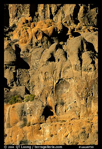 Volcanic cliff, Hole-in-the-wall. Mojave National Preserve, California, USA (color)