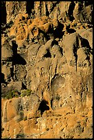 Volcanic cliff, Hole-in-the-wall. Mojave National Preserve, California, USA