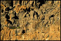 Cliff of volcanic rock, Hole-in-the-wall. Mojave National Preserve, California, USA