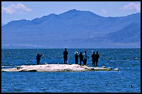 Fishermen on the shore of Salton Sea. California, USA ( color)