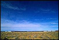 Long train in the Mojave desert. California, USA (color)