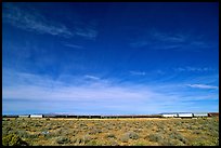 Long train in the Mojave desert. California, USA ( color)