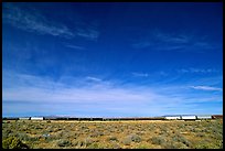 Long train in the Mojave desert. California, USA