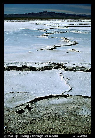 Salt formations,  Mojave desert. California, USA