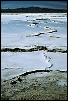 Salt formations,  Mojave desert. California, USA (color)