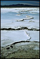 Salt flats,  Mojave desert. California, USA