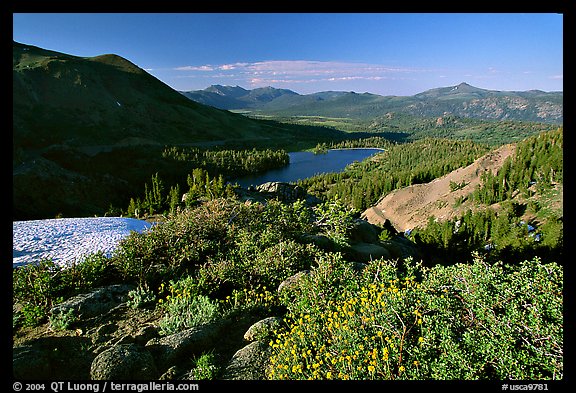 Flowers and Red Lake in the distance, afternoon. Mokelumne Wilderness, Eldorado National Forest, California, USA (color)