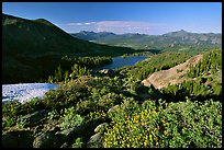 Flowers and Red Lake in the distance, afternoon. Mokelumne Wilderness, Eldorado National Forest, California, USA