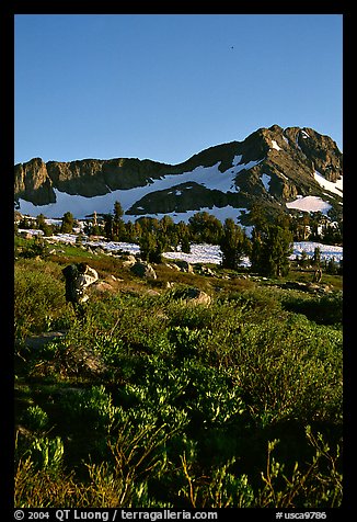 Hiker on trail towards Round Top, late afternoon. Mokelumne Wilderness, Eldorado National Forest, California, USA