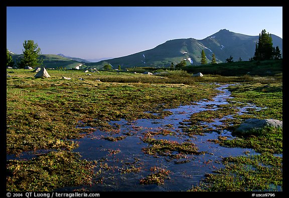 Flooded Meadow, early morning. Mokelumne Wilderness, Eldorado National Forest, California, USA (color)