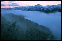 Fog and ridges, sunrise, Stanislaus  National Forest. California, USA ( color)